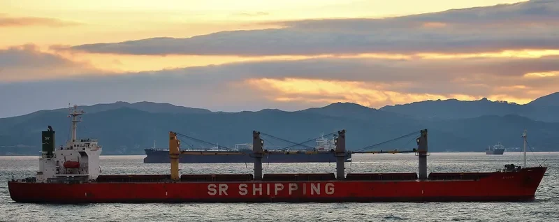 AMMAR Bulk Carrier IMO 9163465