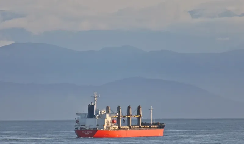 AMMAR Bulk Carrier IMO 9163465 photo 3