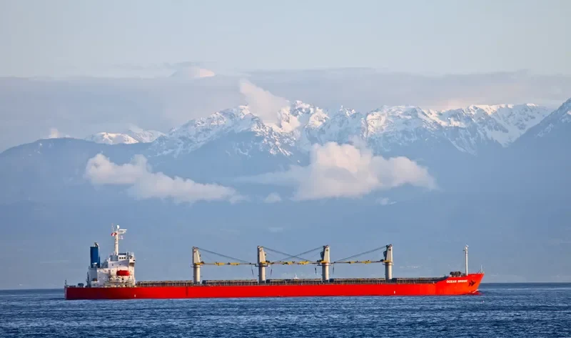 AMMAR Bulk Carrier IMO 9163465 photo 5