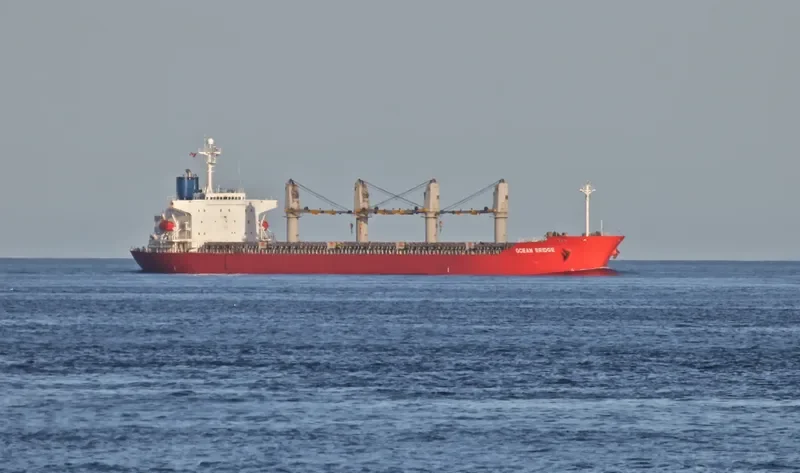 AMMAR Bulk Carrier IMO 9163465 photo 6