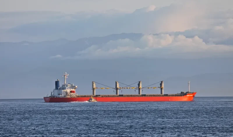AMMAR Bulk Carrier IMO 9163465 photo 7