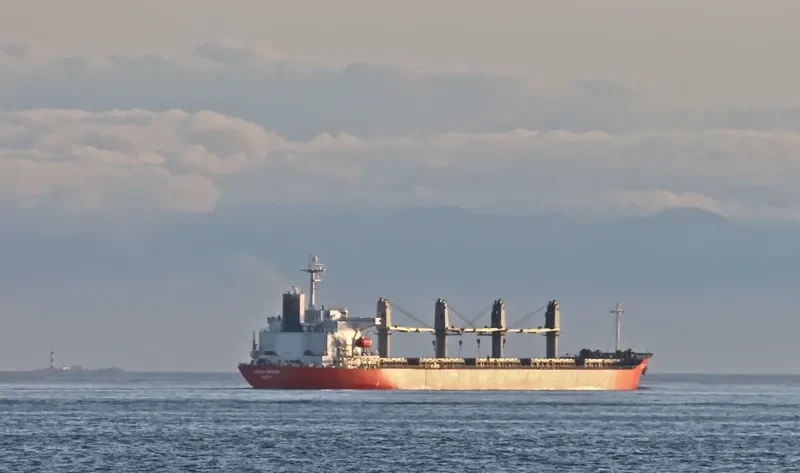 AMMAR Bulk Carrier IMO 9163465 photo 8