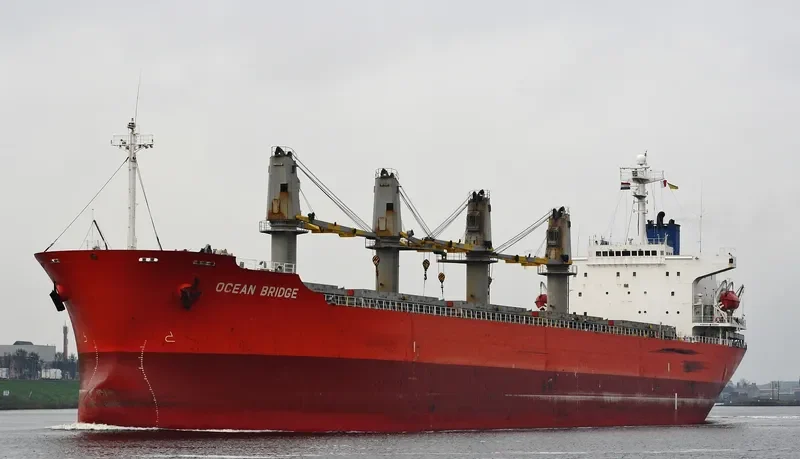 AMMAR Bulk Carrier IMO 9163465 photo 9