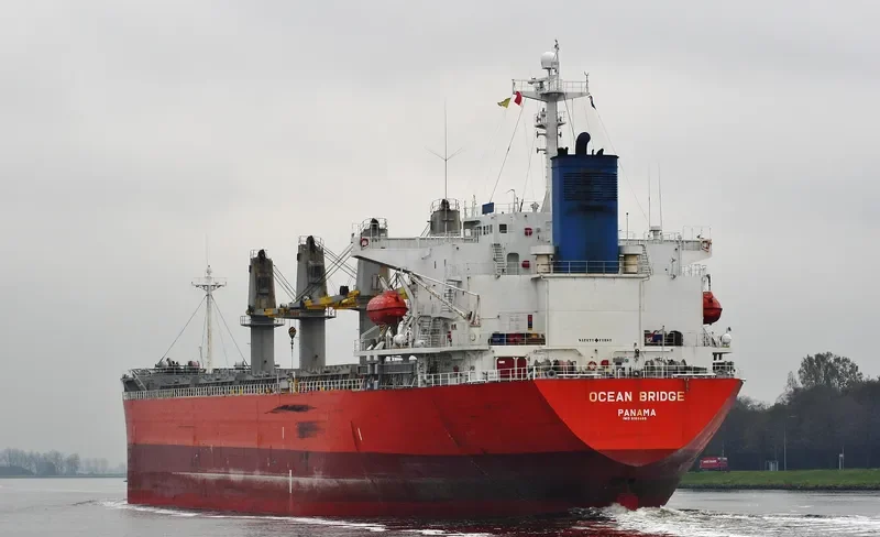 AMMAR Bulk Carrier IMO 9163465 photo 10