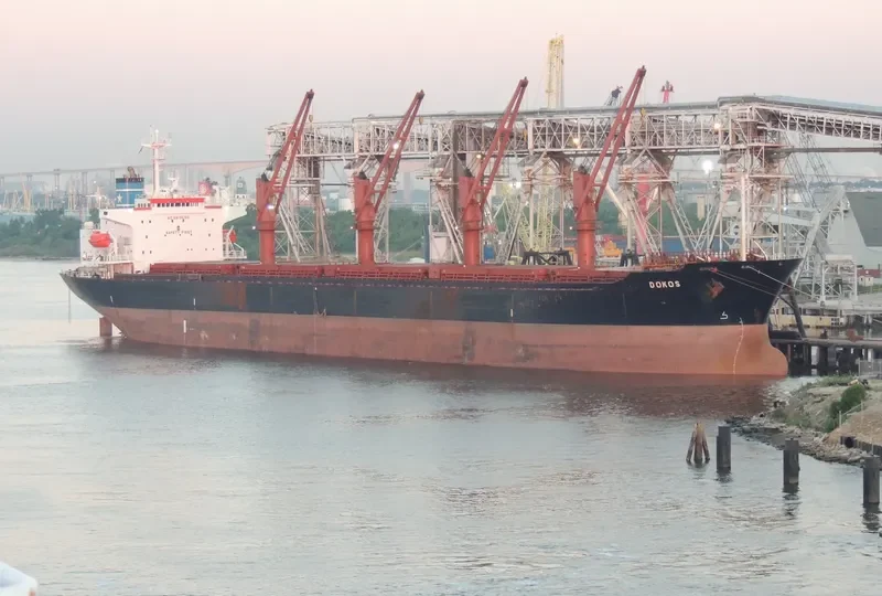 FORTUNE LORD Bulk Carrier IMO 9163477 photo 7