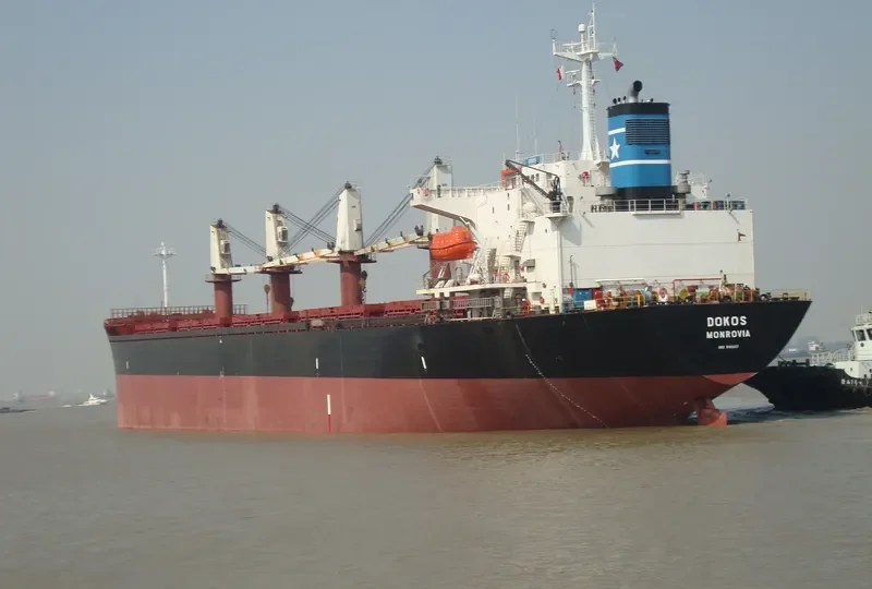 FORTUNE LORD Bulk Carrier IMO 9163477 photo 8