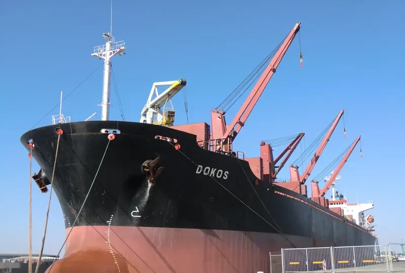 FORTUNE LORD Bulk Carrier IMO 9163477 photo 9