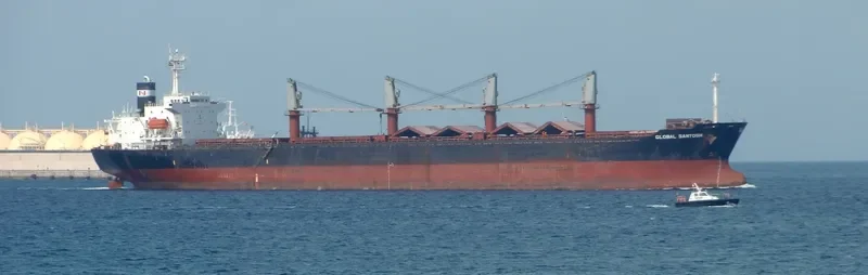 JUN BENEFIT Bulk Carrier IMO 9163489 photo 3