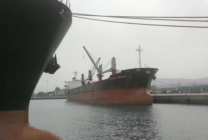 JUN BENEFIT Bulk Carrier IMO 9163489 photo 6
