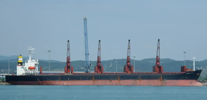 LUNE B Bulk Carrier IMO 9163491 photo 2