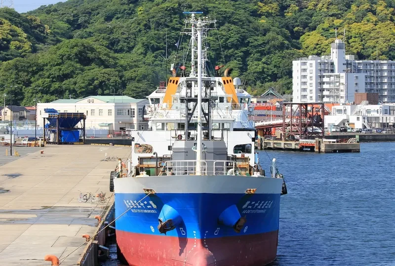 TOYOTAMA MARU NO.25 General Cargo IMO 9163518