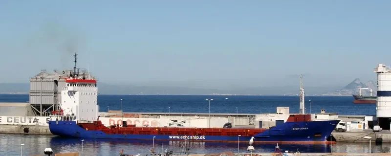 SELINAY S General Cargo IMO 9163609 photo 7