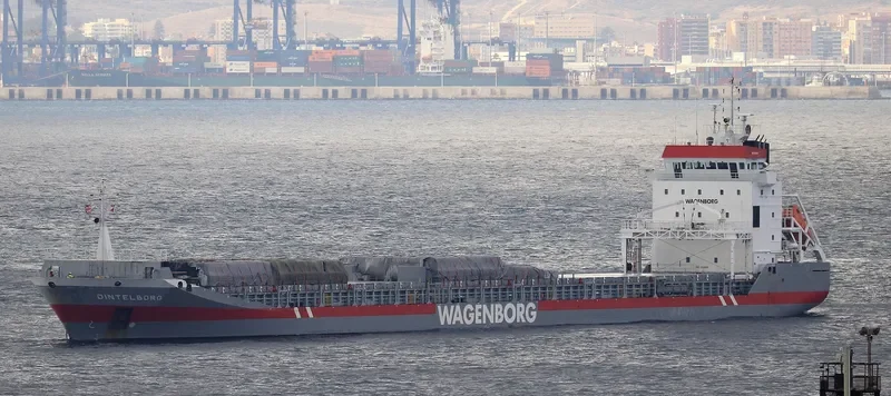DINTELBORG Container Ship IMO 9163685
