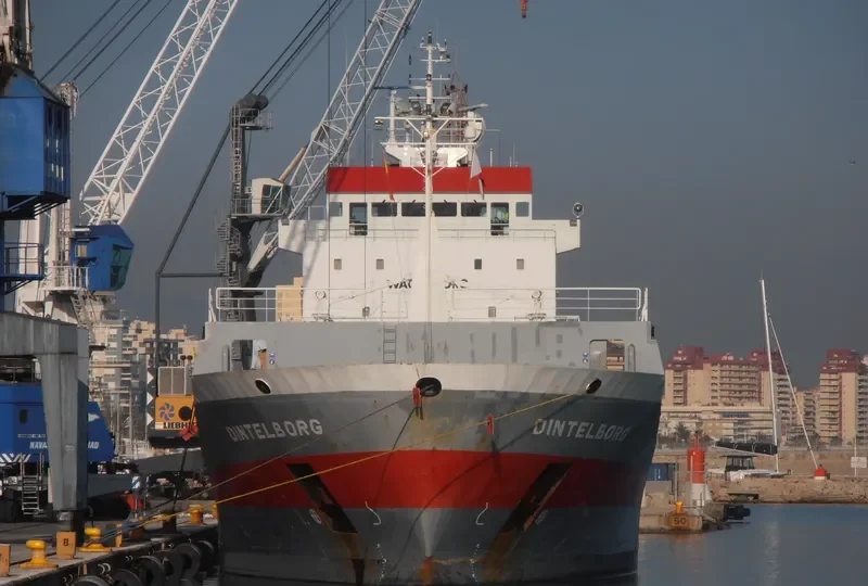 DINTELBORG Container Ship IMO 9163685 photo 2