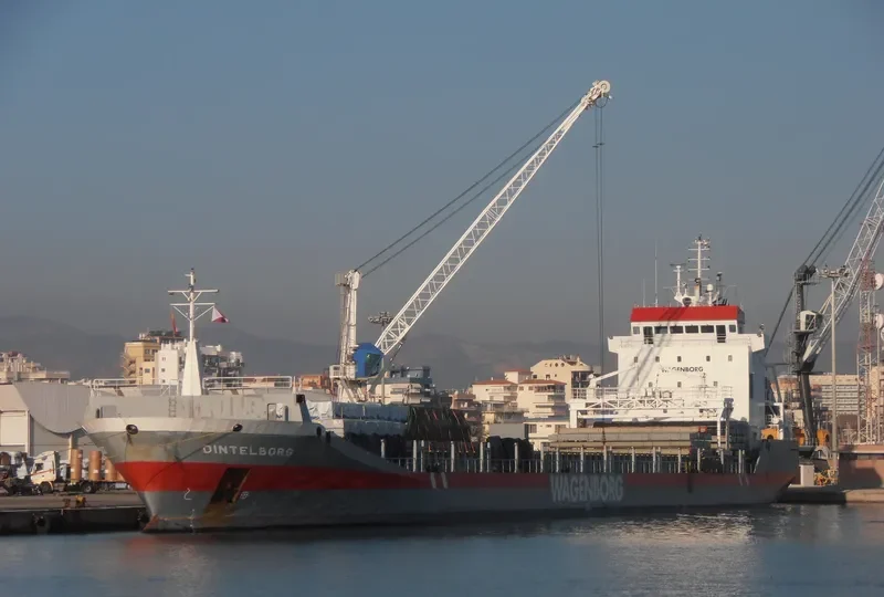 DINTELBORG Container Ship IMO 9163685 photo 3