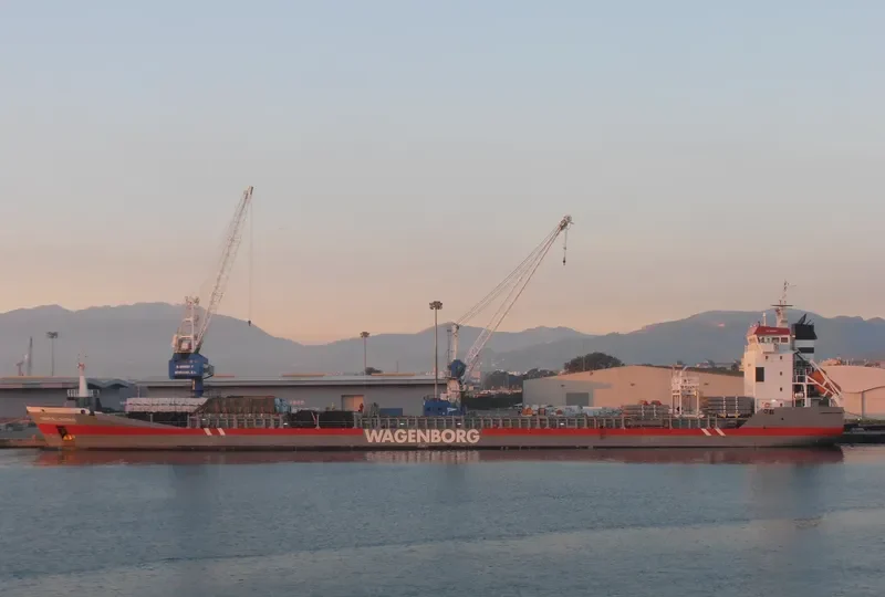 DINTELBORG Container Ship IMO 9163685 photo 4