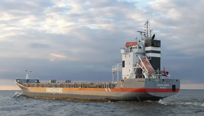 DINTELBORG Container Ship IMO 9163685 photo 6