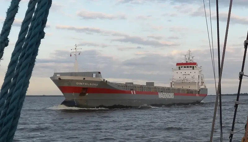 DINTELBORG Container Ship IMO 9163685 photo 7