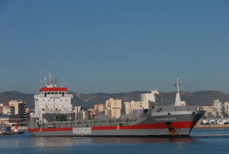 DONGEBORG Container Ship IMO 9163697 photo 3