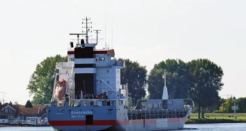 DONGEBORG Container Ship IMO 9163697 photo 7