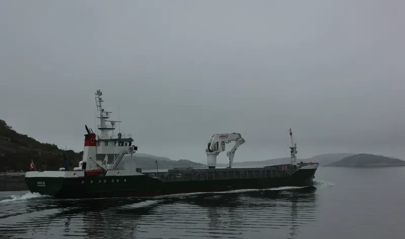 AMALIE Offshore Vessel IMO 9163702 photo 8
