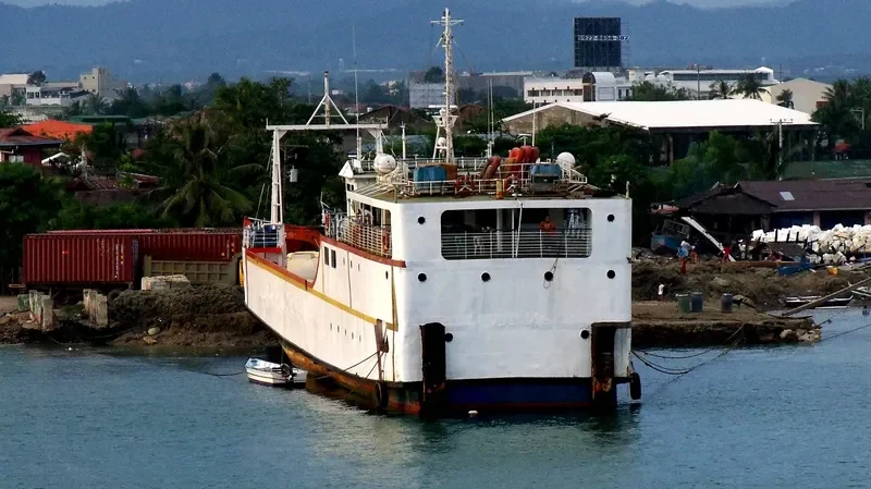 MA.ANGELICA GRACE Passenger Ship IMO 9163788 photo 2