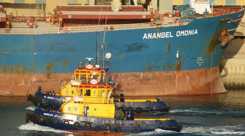 MERZAK General Cargo IMO 9163867 photo 6