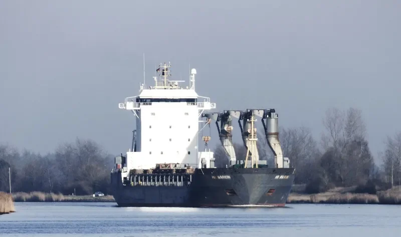 ANATOLIY SUKHOV General Cargo IMO 9164029 photo 9