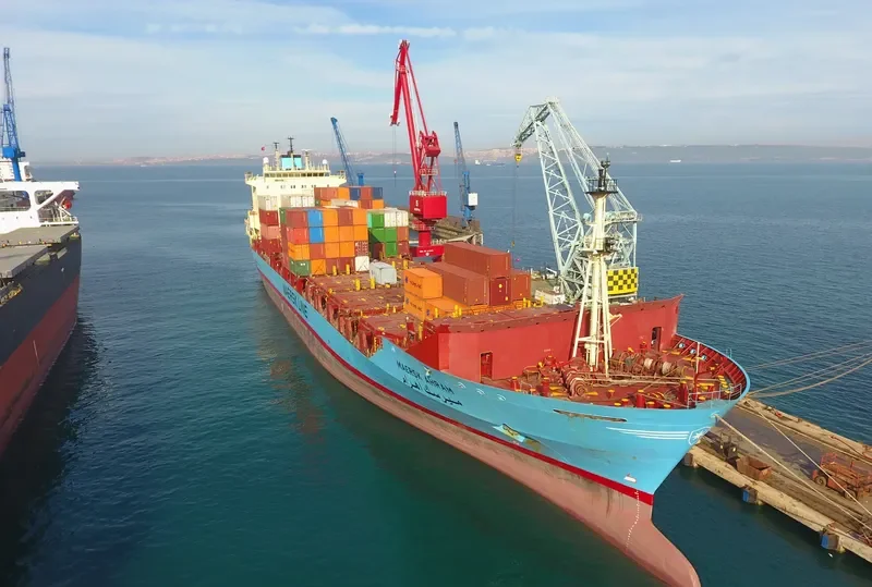 MAERSK AHRAM Container Ship IMO 9164225 photo 7