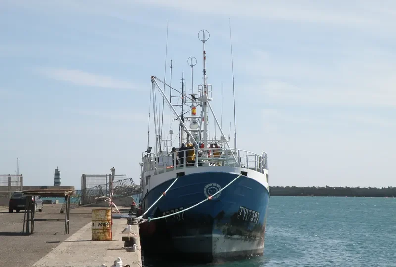 PEGUSA General Cargo IMO 9164342