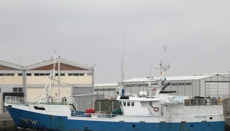 PEGUSA General Cargo IMO 9164342 photo 3