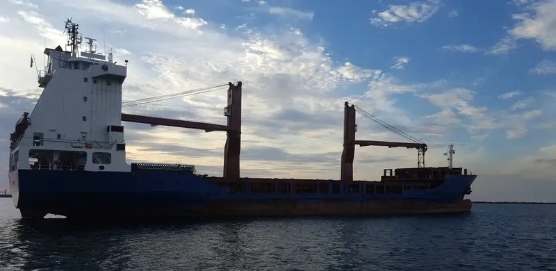 ALIANCA DEL PLATA Container Ship IMO 9164421 photo 2
