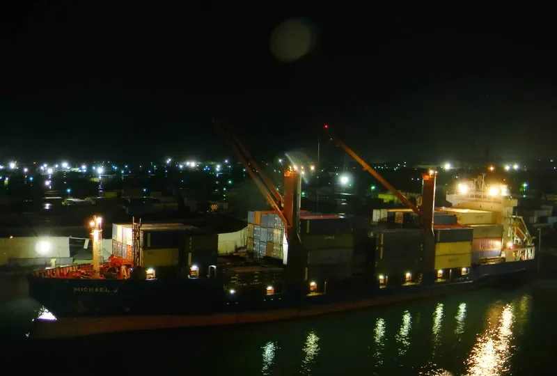 ALIANCA DEL PLATA Container Ship IMO 9164421 photo 10