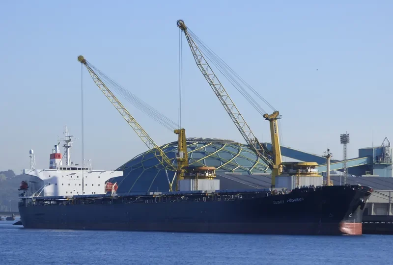 GLORIA 1 Bulk Carrier IMO 9164445 photo 3