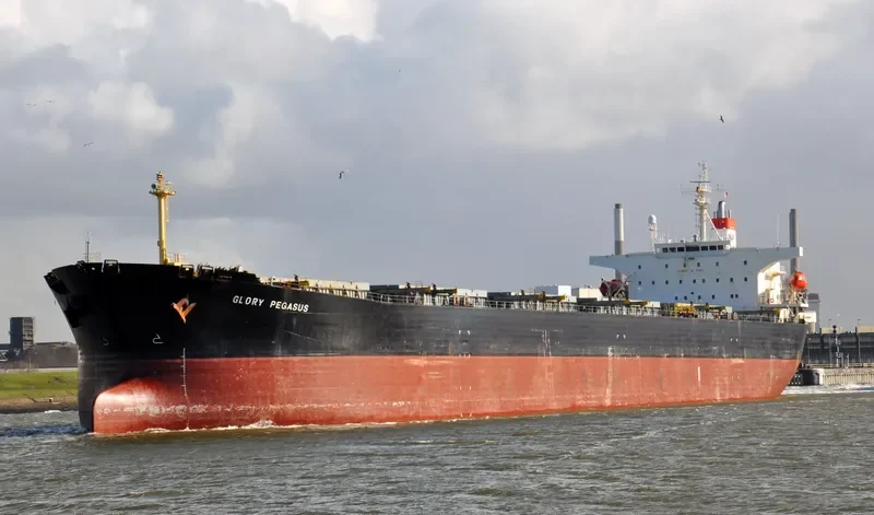 GLORIA 1 Bulk Carrier IMO 9164445 photo 10