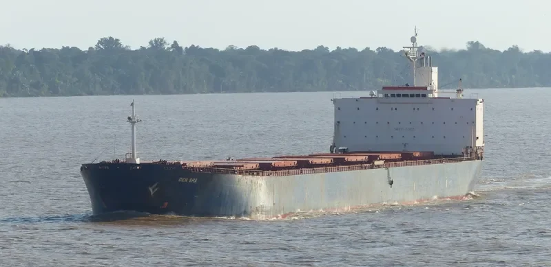 HONG XIANG Bulk Carrier IMO 9164615