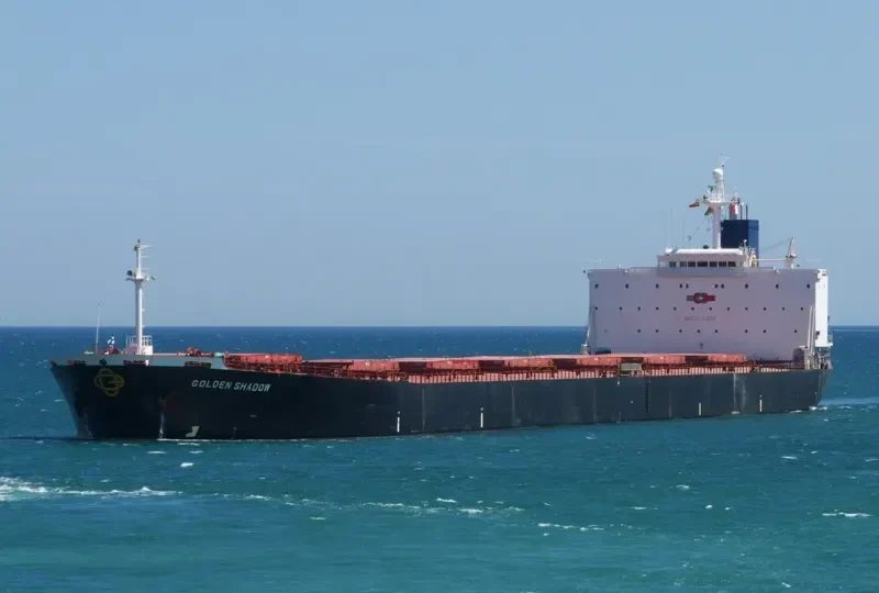 HONG XIANG Bulk Carrier IMO 9164615 photo 6