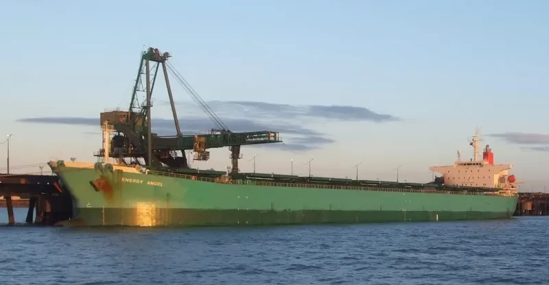 HC FORWARD Bulk Carrier IMO 9164691 photo 2