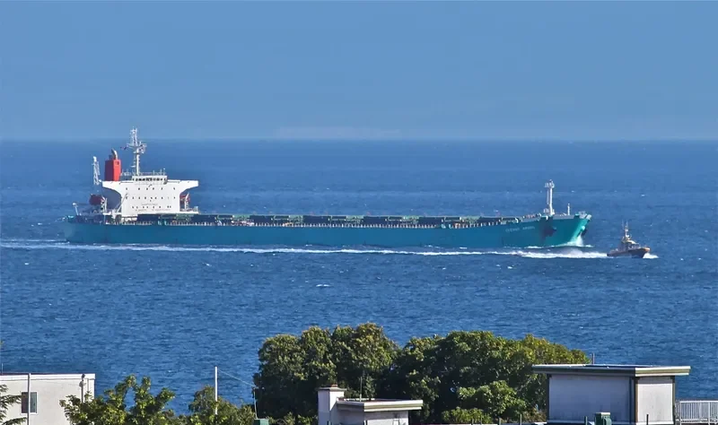 HC FORWARD Bulk Carrier IMO 9164691 photo 3