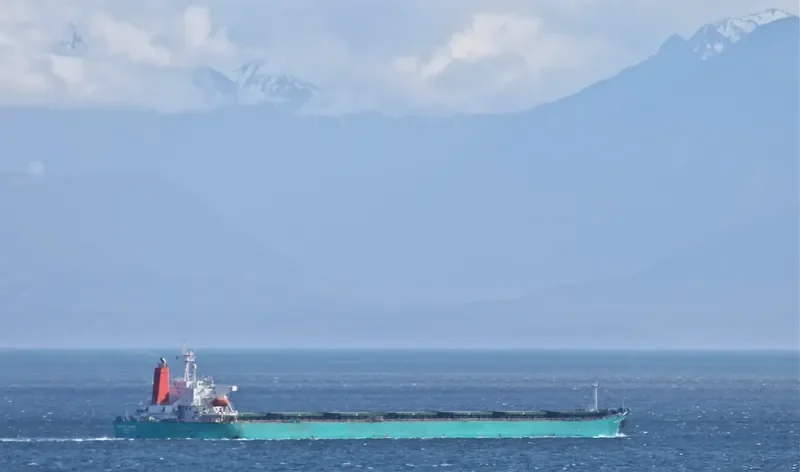 HC FORWARD Bulk Carrier IMO 9164691 photo 6