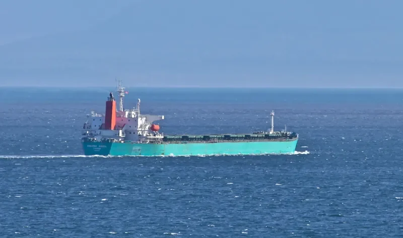 HC FORWARD Bulk Carrier IMO 9164691 photo 7