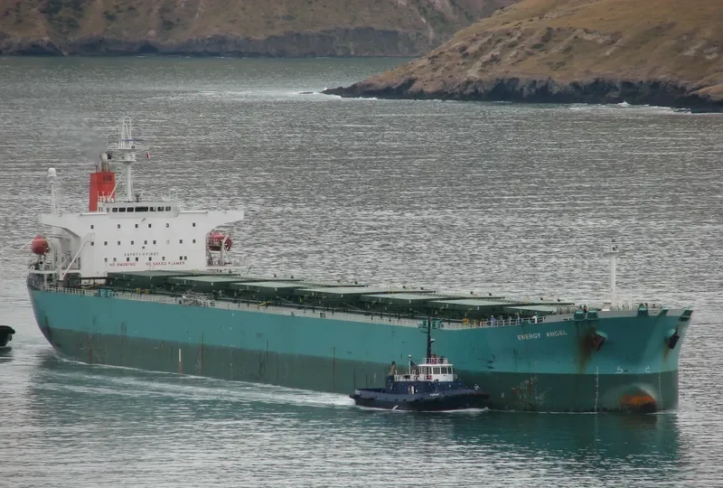 HC FORWARD Bulk Carrier IMO 9164691 photo 9