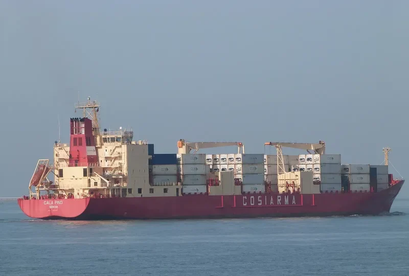 CALA PINO General Cargo IMO 9164756 photo 2