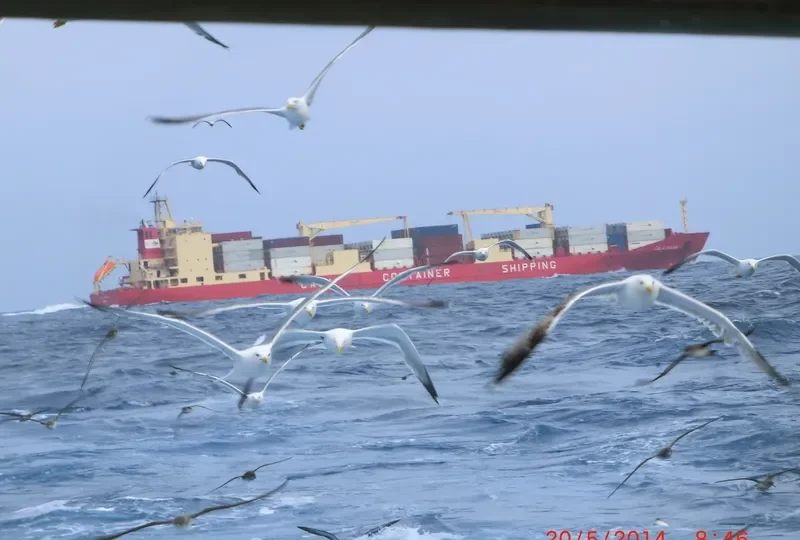 CALA PALMA General Cargo IMO 9164770 photo 10