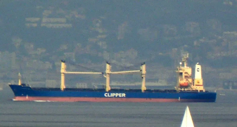 BASEL ATHENA General Cargo IMO 9164809 photo 6