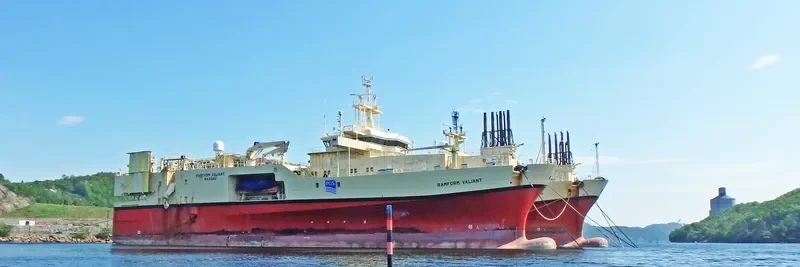 RAMFORM VALIANT General Cargo IMO 9165023