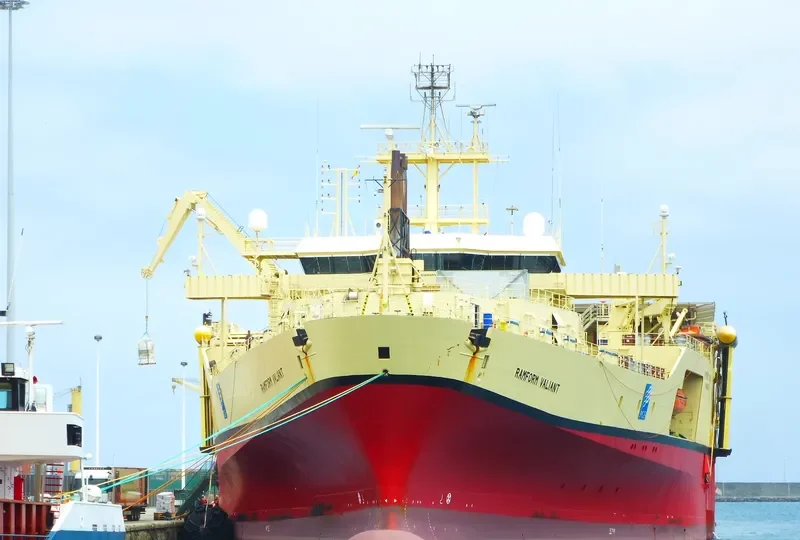 RAMFORM VALIANT General Cargo IMO 9165023 photo 5