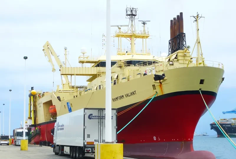 RAMFORM VALIANT General Cargo IMO 9165023 photo 7