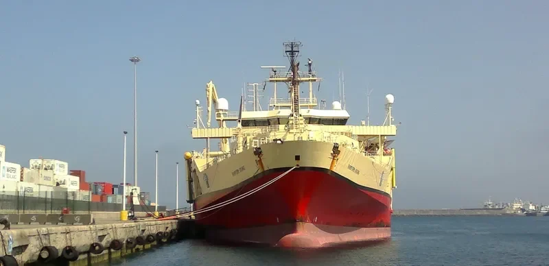 RAMFORM VIKING General Cargo IMO 9165035 photo 10
