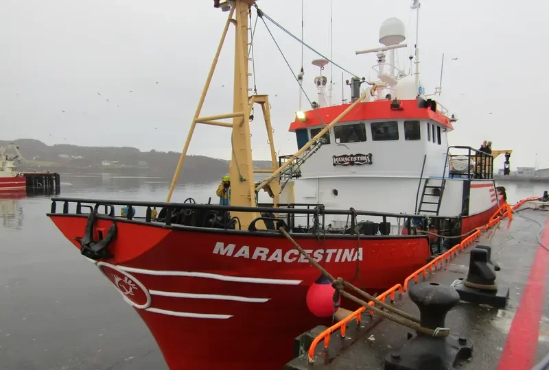 MARACESTINA General Cargo IMO 9165102 photo 3